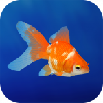 Goldfish 3D Relaxing Aquarium MOD APK v2.54 Unlimited Money Goldfish 3D Relaxing Aquarium MOD APK v2.54 Unlimited Money