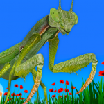 Bugs Insects VRAR Kid Game MOD APK v4.5.1 Unlimited Money Bugs Insects VRAR Kid Game MOD APK v4.5.1 Unlimited Money