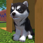 Cute Pocket Puppy 3D – Part 2 MOD APK v1.10.5 Unlimited Money Cute Pocket Puppy 3D – Part 2 MOD APK v1.10.5 Unlimited Money