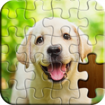 Jigsaw Puzzle – Classic Puzzle MOD APK v8.17.079 Unlimited Money Jigsaw Puzzle – Classic Puzzle MOD APK v8.17.079 Unlimited Money